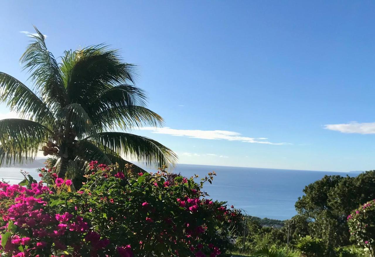 Bel appartement privé, magnifique vue sur la mer des Caraibes et jardin clos, WiFi, à 2mn de la plage Sainte-Luce Exterior foto